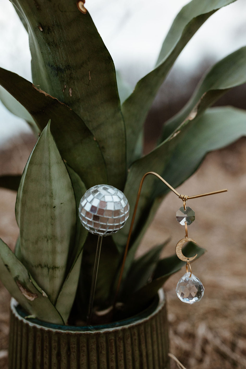 Disco Plant Stake