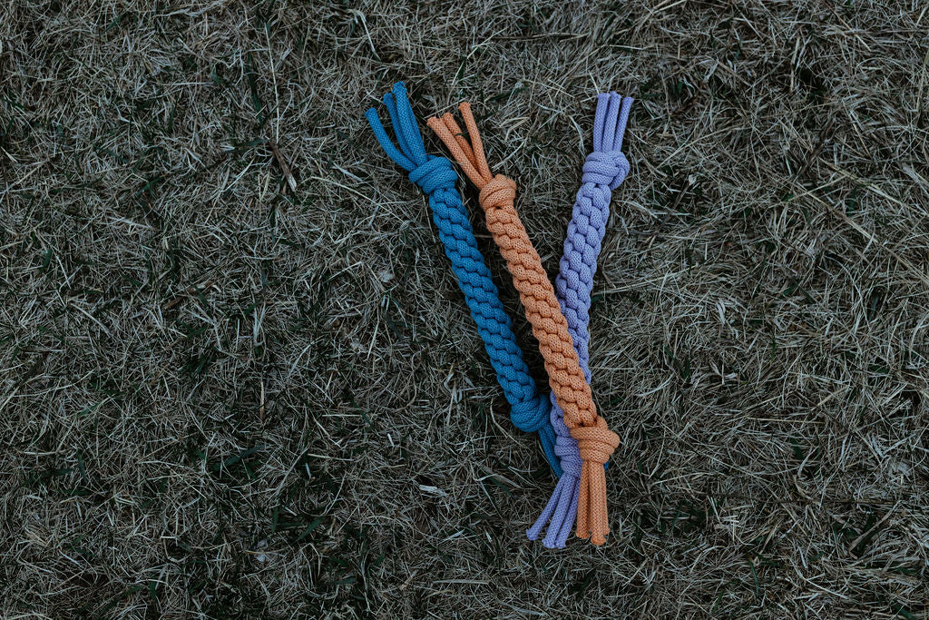 Dog Toy