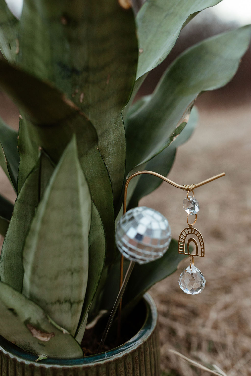Plant Charms