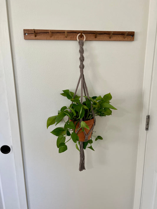 Spiral Plant Hanger