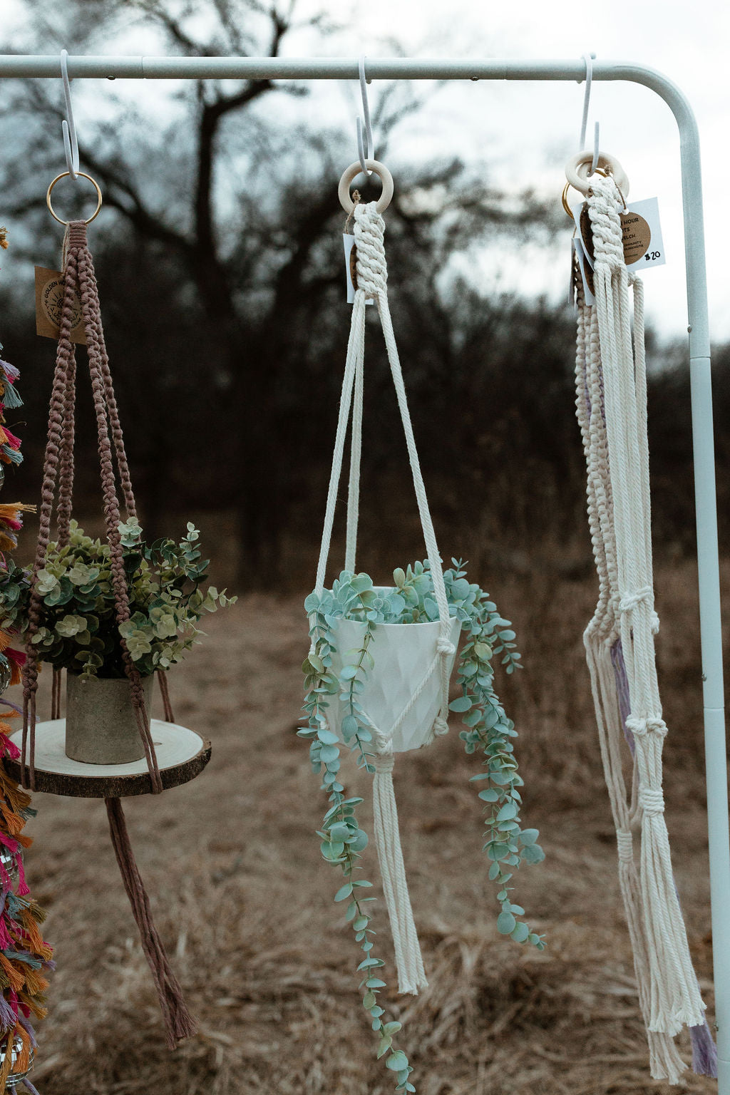 Crown Plant Hanger