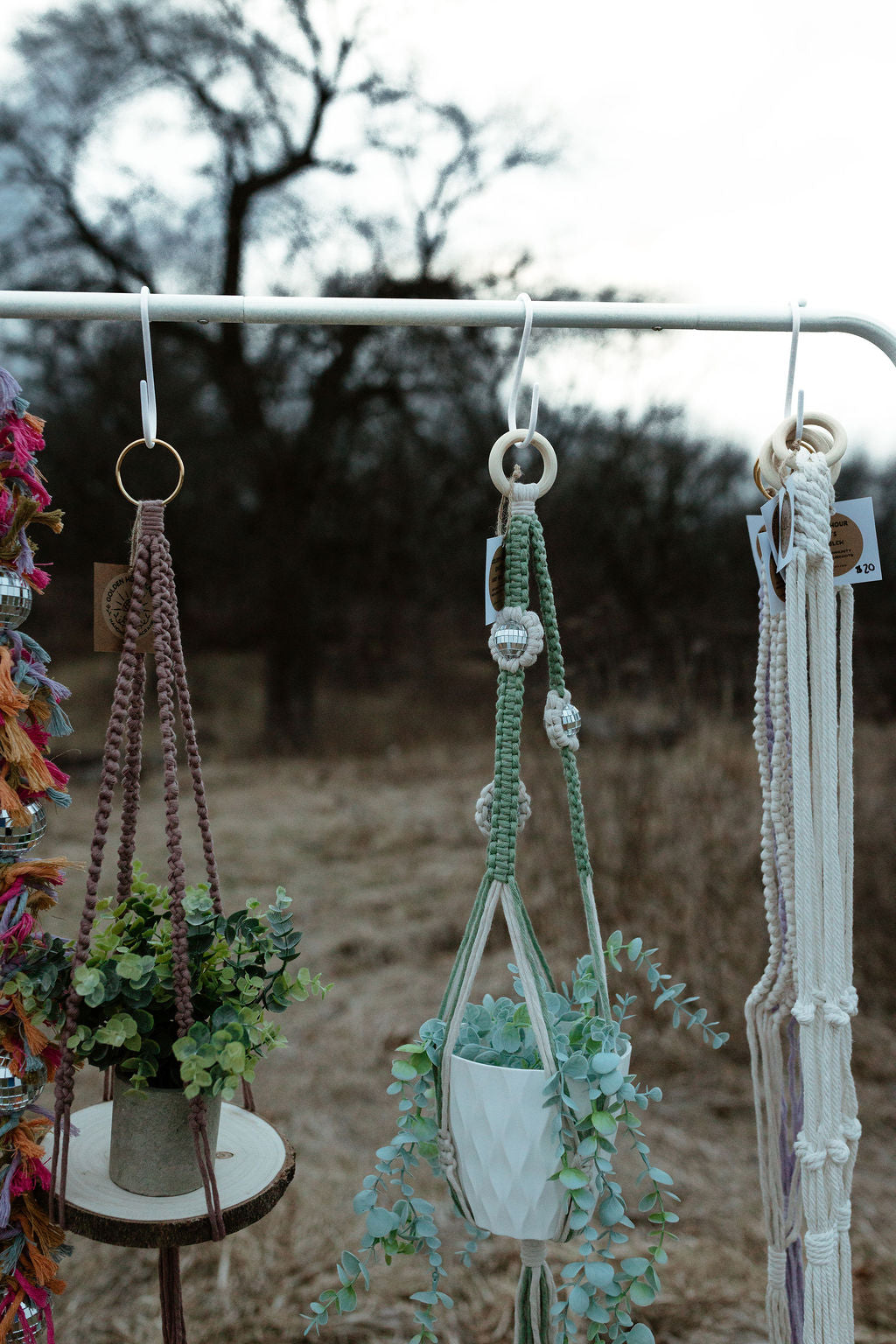 Daisy Disco Ball Plant Hanger