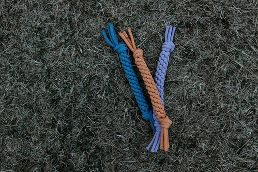 Dog Toy