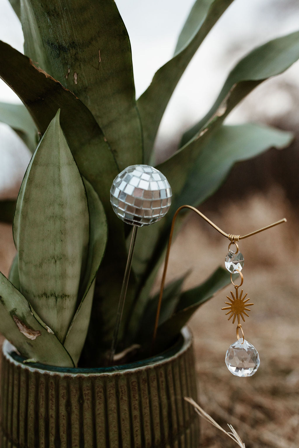 Plant Charms